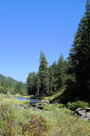 North Fork of the Feather River (3)