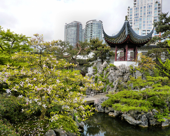 Dr. Sun Yat Sen Classical Chinese Garden (5)
