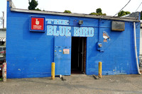 Blue Bird Tavern