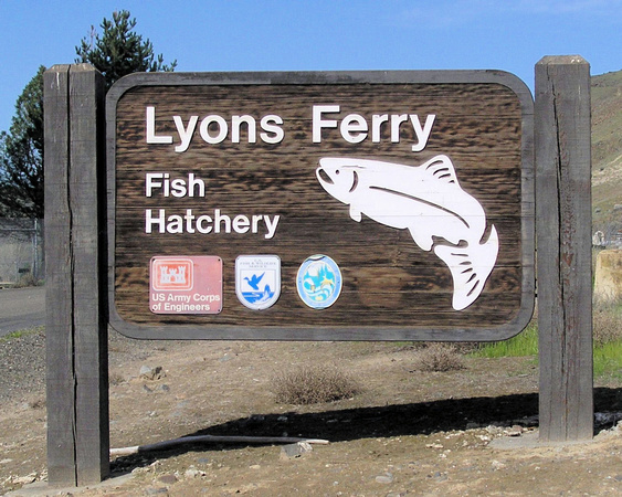 Lyons Ferry Fish Hatchery