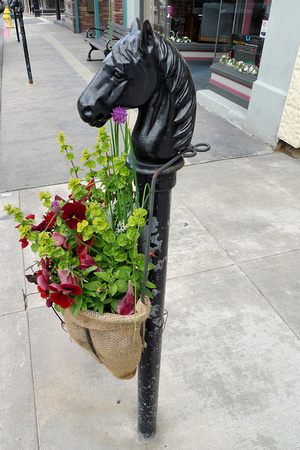 Hitching Post (2)