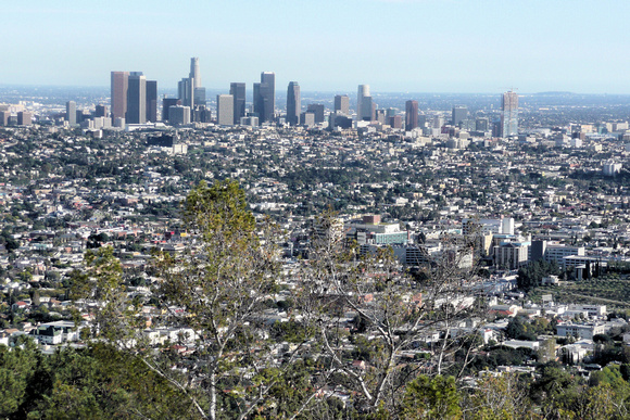 Downtown from Griffith Park