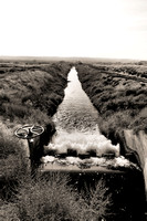 Columbia Basin Project Canal (11)