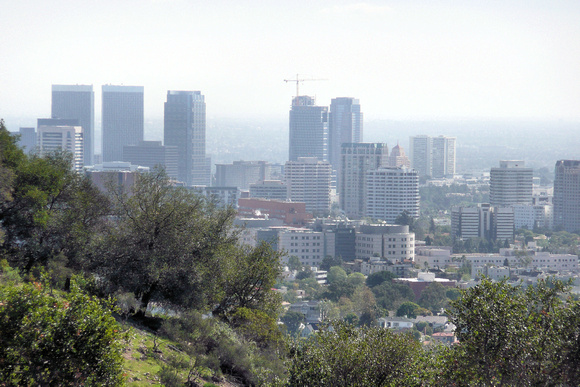 Hollywood from Griffith Park
