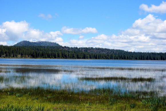 Grass Lake