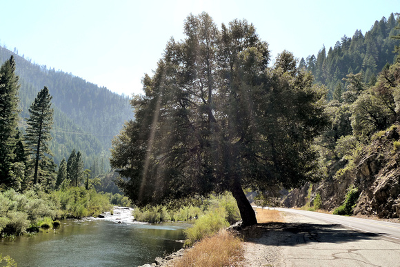 North Fork of the Feather River (14)